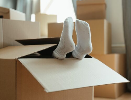 Scatole per trasloco: come sceglierle e consigli per utilizzarle